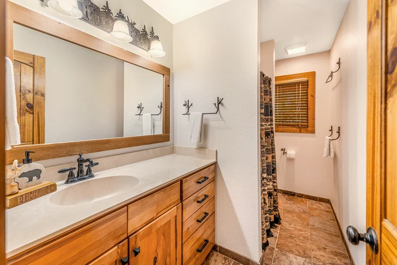 Glenway Chalet main level bath with walk-in shower — Maggie Valley NC