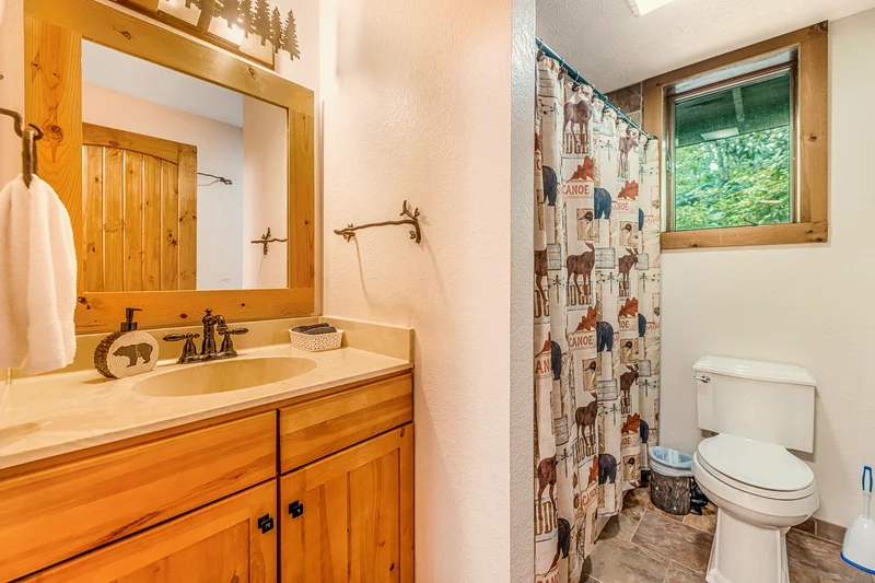 Glenway Chalet lower bath with tub and shower — Maggie Valley NC