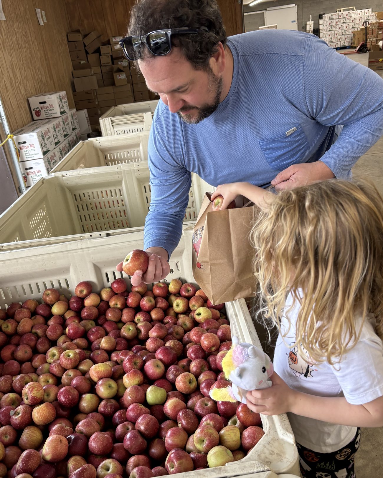 Picking apples at Barber Orchards Fruit Stand near Maggie Valley NC
