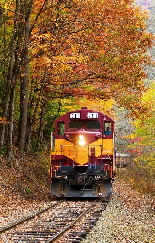 The Great Smoky Mountains Railroad train through the Nantahala Gorge in fall