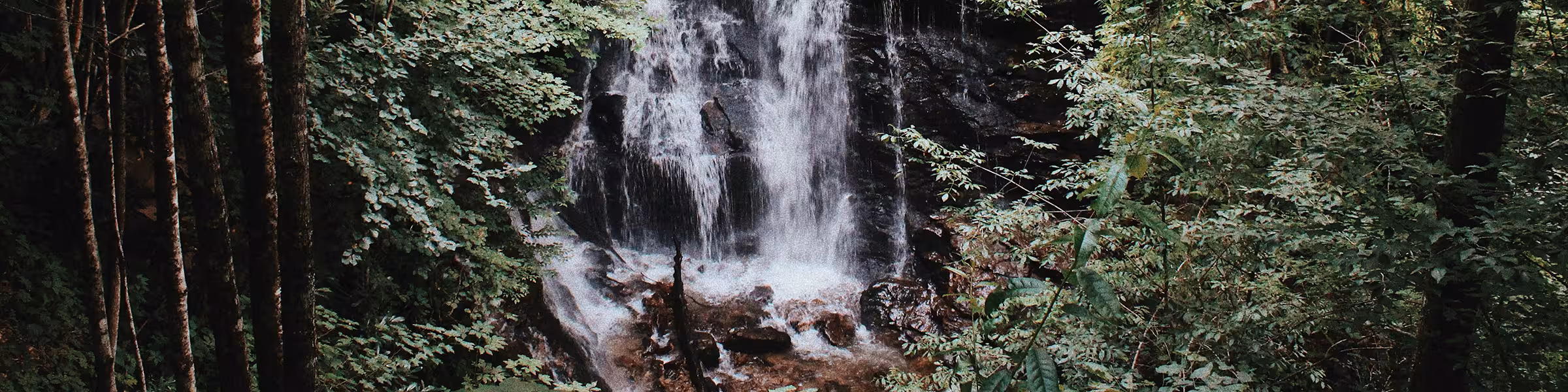 Trails & Waterfalls near Maggie Valley NC