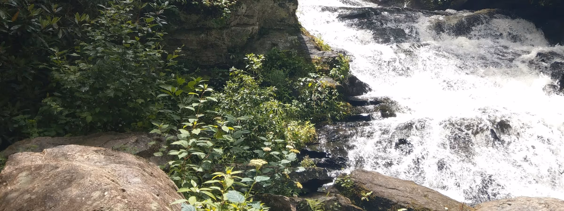 Catawba Falls trail — western NC